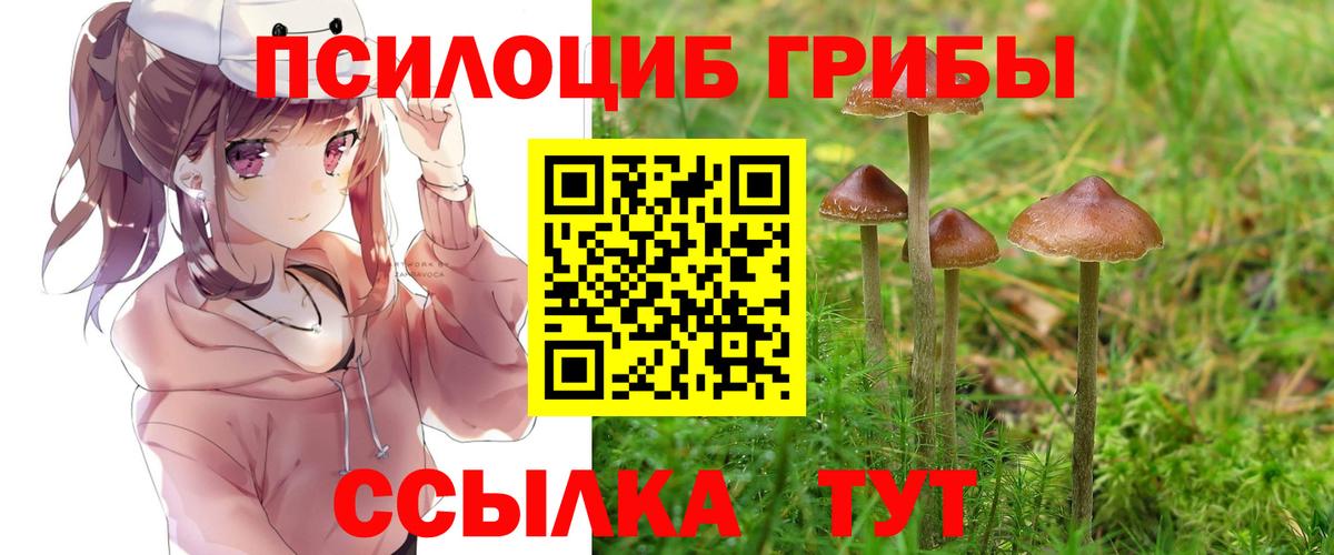 Псилоцибиновые грибы мицелий  Вход с VPN  Псилоцибиновые грибы мухоморы  Мелеуз 