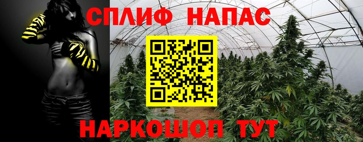 МАРИХУАНА план  Вход с VPN  Конопля ГИДРОПОН  Мелеуз  Канабис индика 